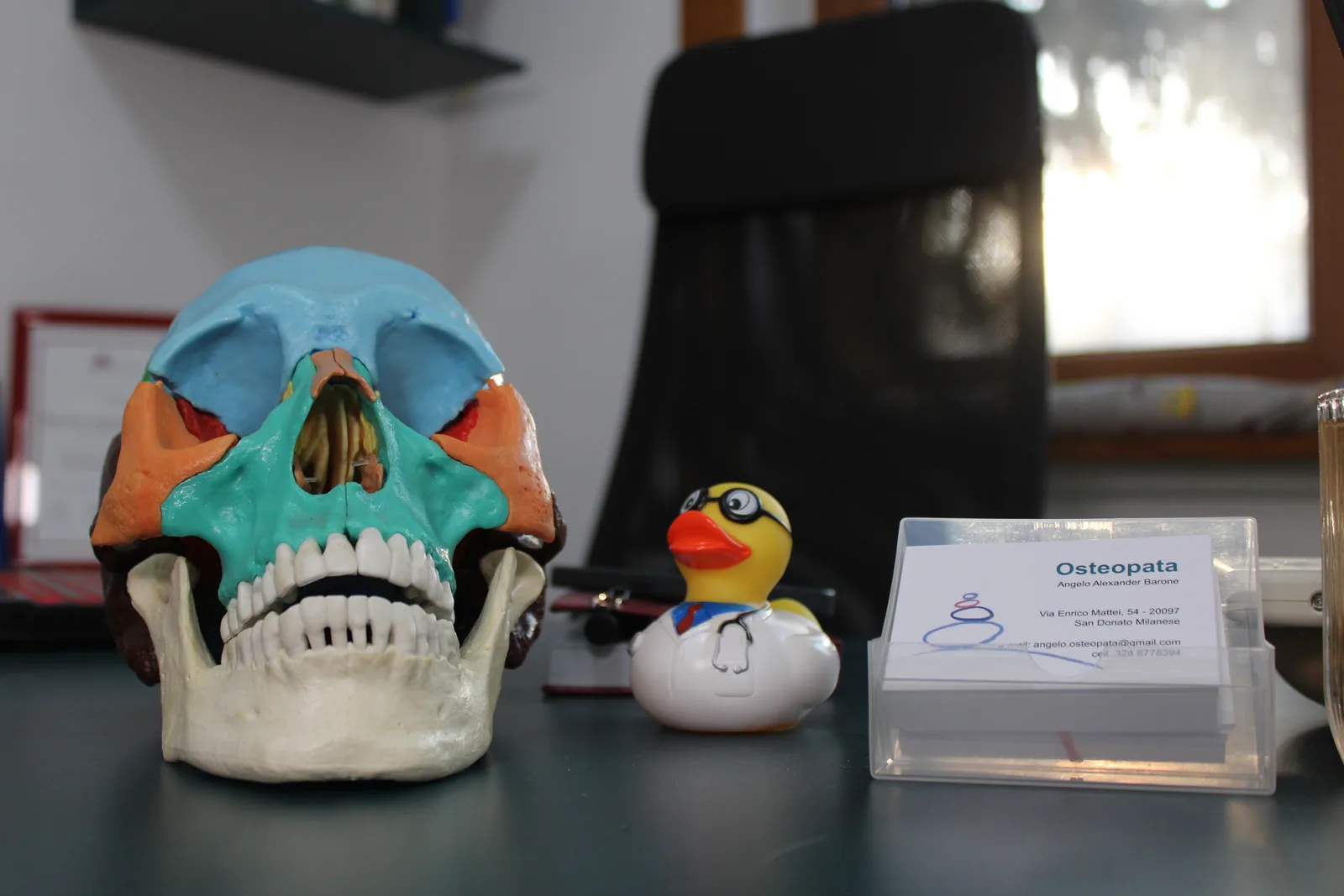 Modello anatomico e materiali dello studio di osteopatia